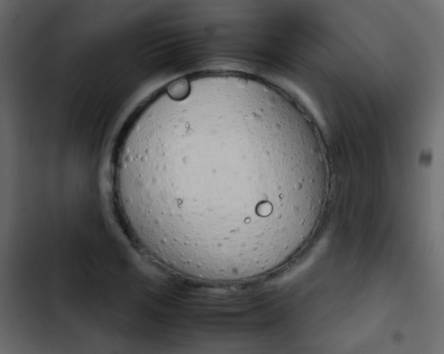 X0000103901125200809191049