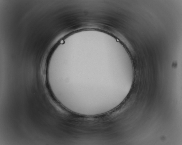 X0000103901127200809191049