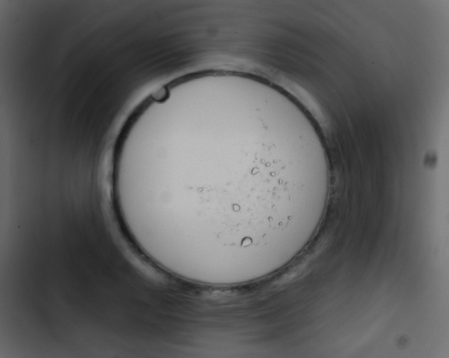 X0000103901128200809191049