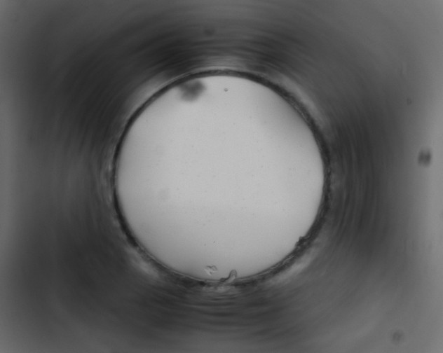 X0000103901129200809191049