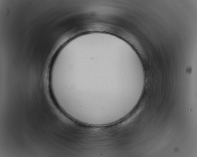 X0000103901130200809191049