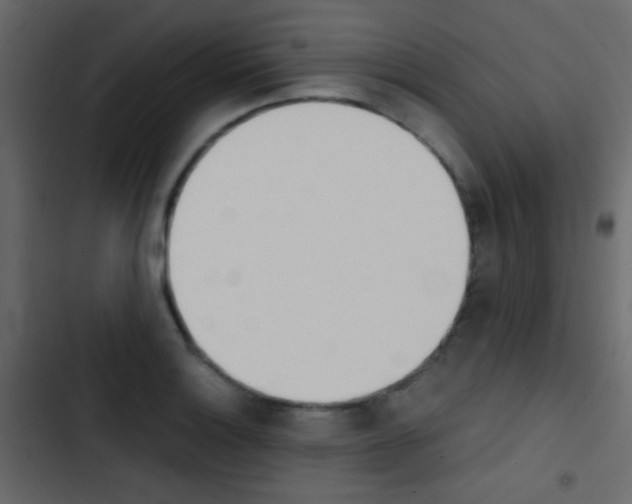 X0000103901132200809191049