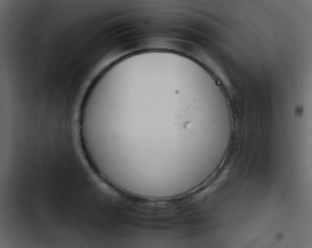 X0000103901133200809191049