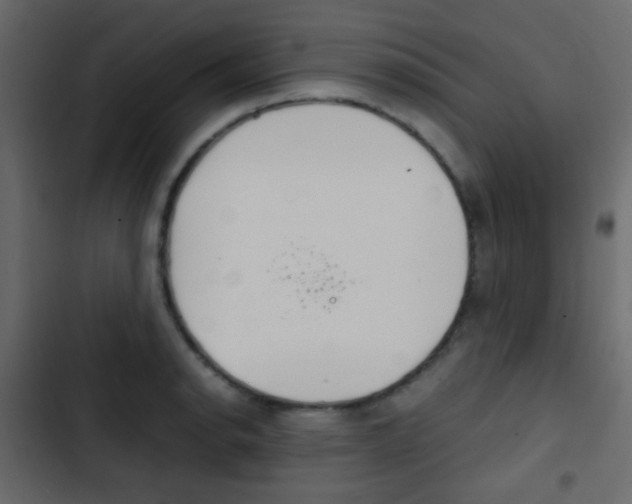 X0000103901134200809191049