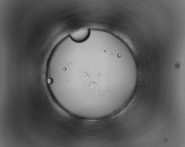 X0000103901135200809191049