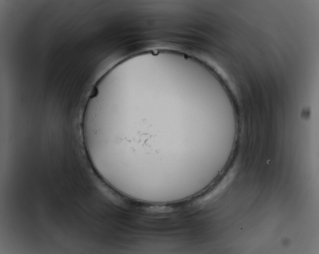 X0000103901137200809191049