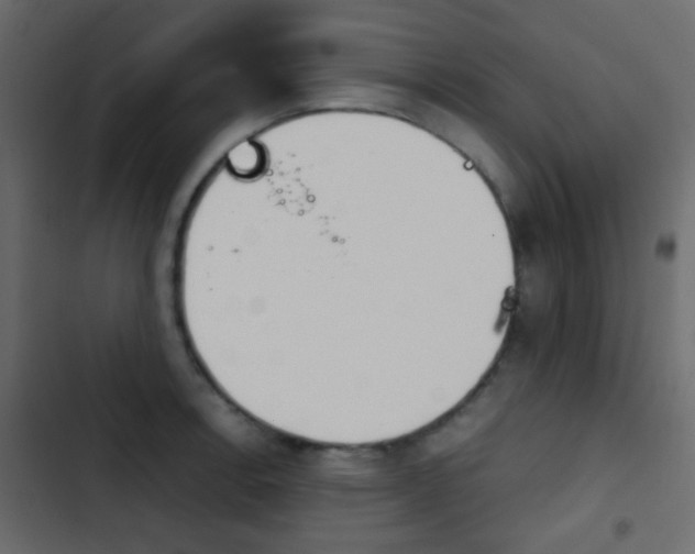 X0000103901138200809191049