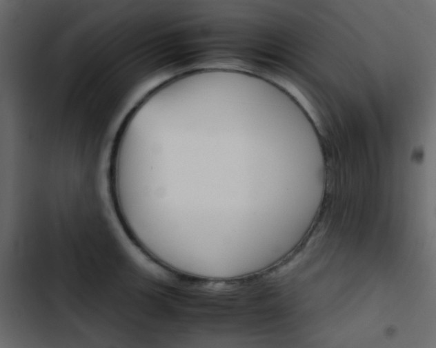 X0000103901139200809191049
