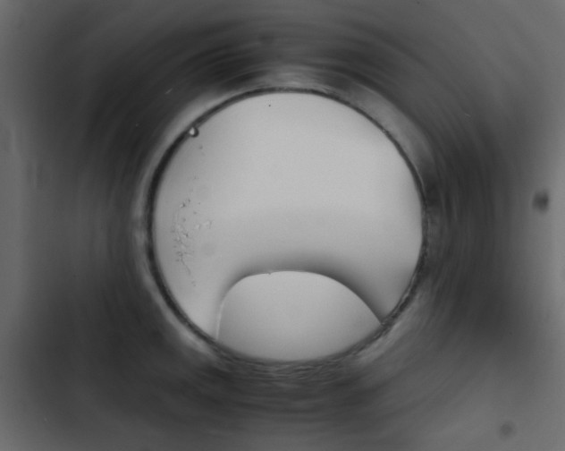X0000103901141200809191049