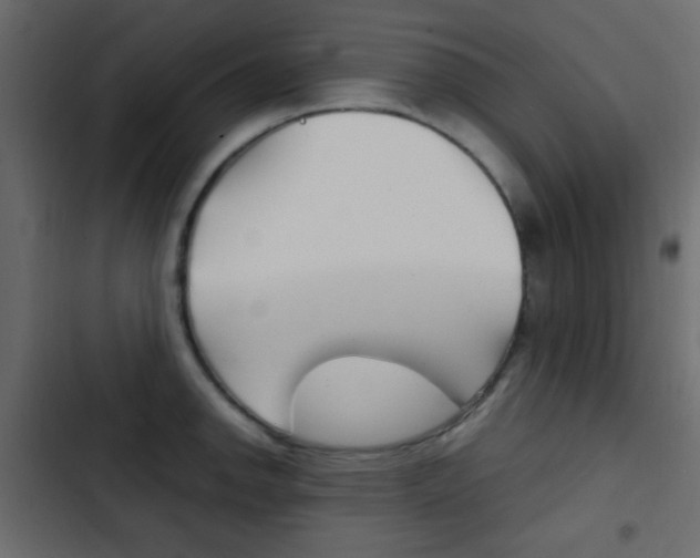 X0000103901142200809191049