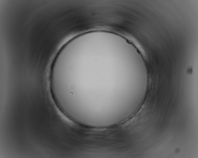 X0000103901143200809191049