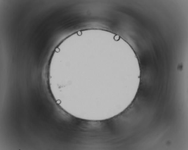 X0000103901144200809191049