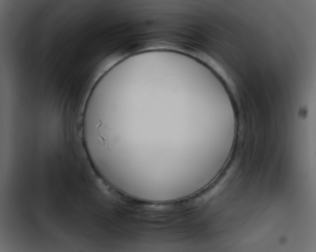 X0000103901145200809191049