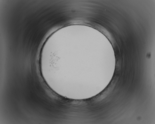 X0000103901146200809191049