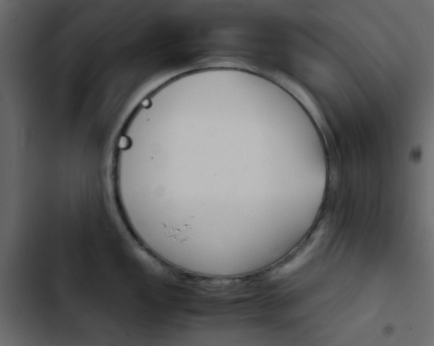 X0000103901149200809191049