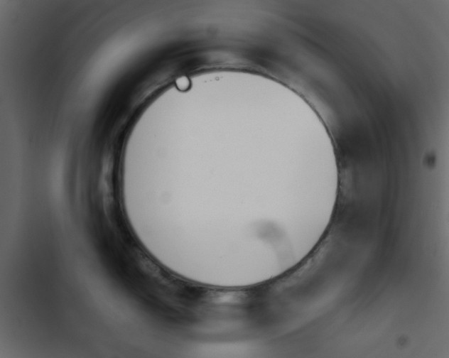 X0000103901150200809191049
