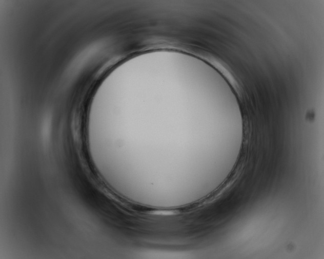 X0000103901151200809191049