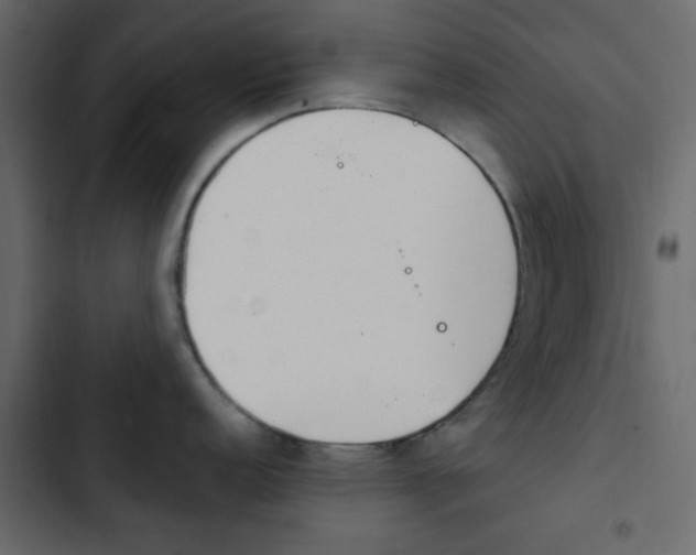X0000103901152200809191049
