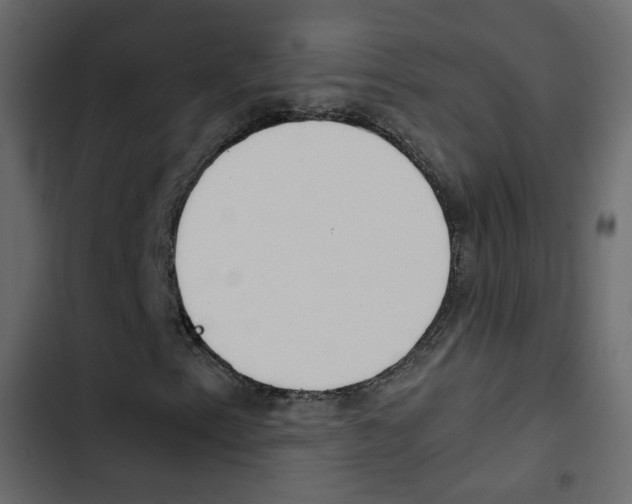 X0000103901153200809191049