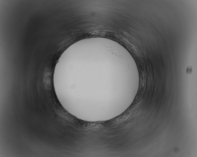 X0000103901154200809191048