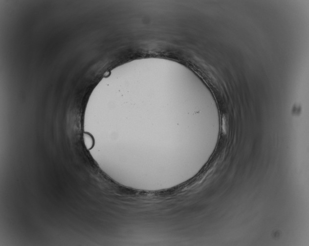 X0000103901155200809191048