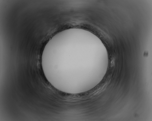X0000103901156200809191048