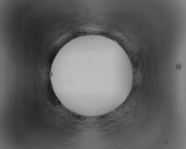 X0000103901157200809191048