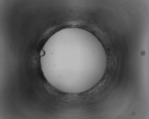 X0000103901158200809191048