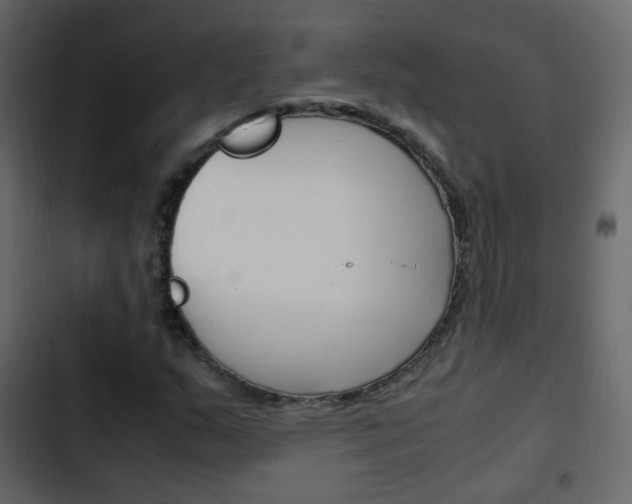 X0000103901159200809191048