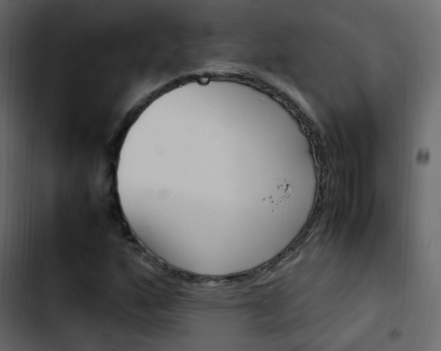 X0000103901160200809191048