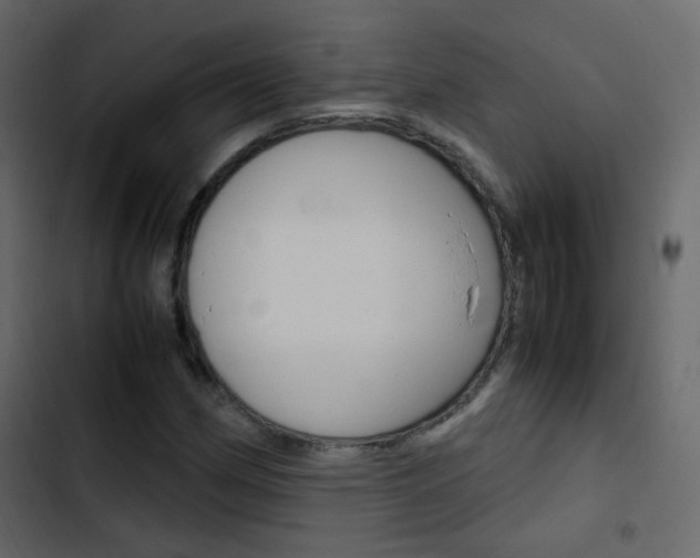 X0000103901162200809191048