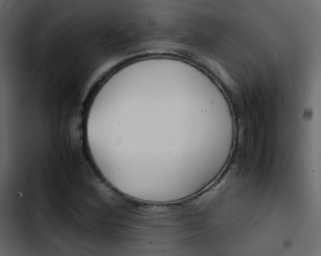 X0000103901164200809191048
