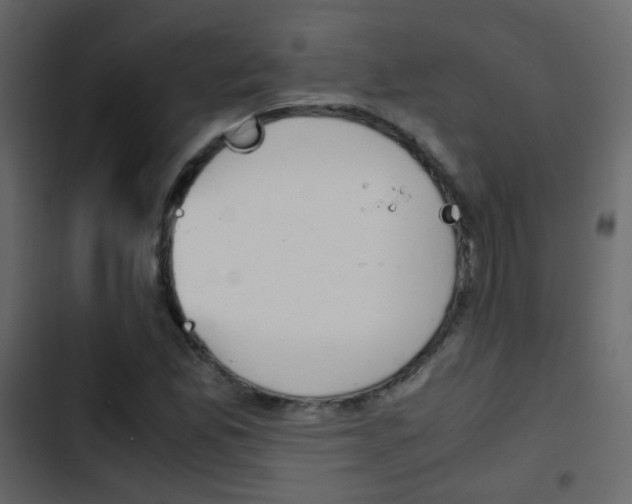 X0000103901165200809191048