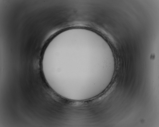 X0000103901166200809191048
