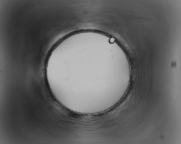 X0000103901167200809191048