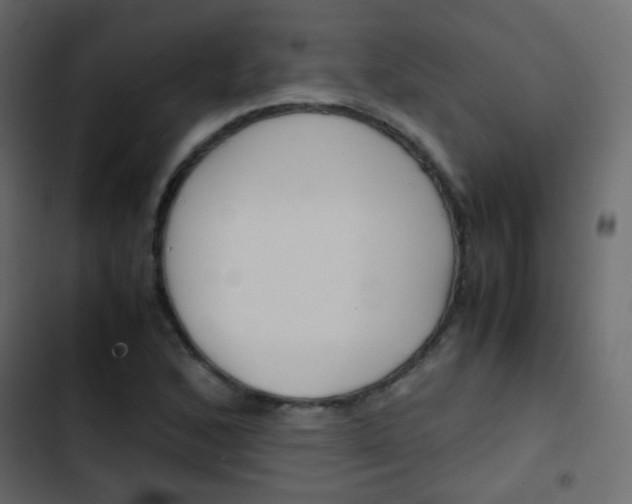 X0000103901168200809191048