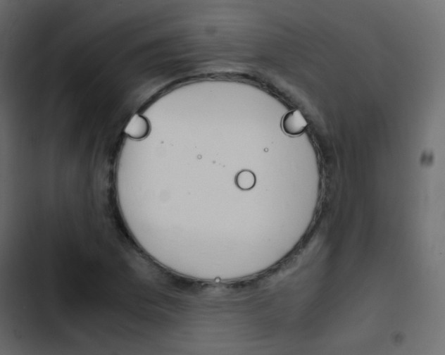 X0000103901169200809191048
