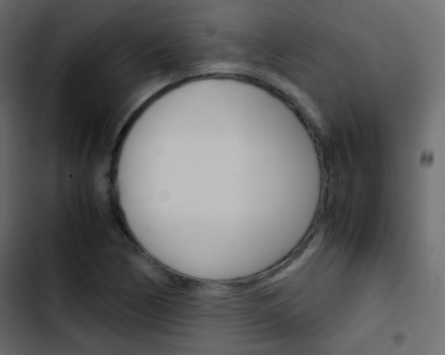 X0000103901170200809191048