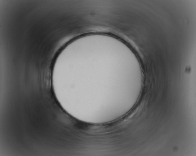X0000103901171200809191048