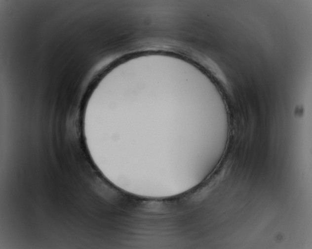 X0000103901172200809191048