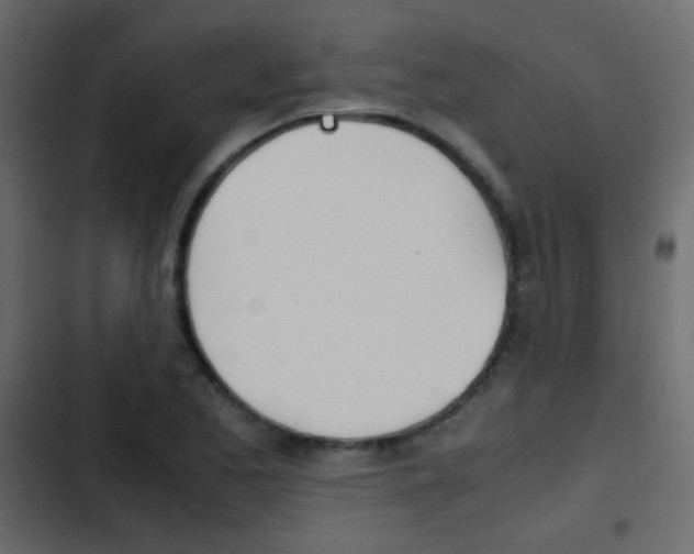 X0000103901173200809191048