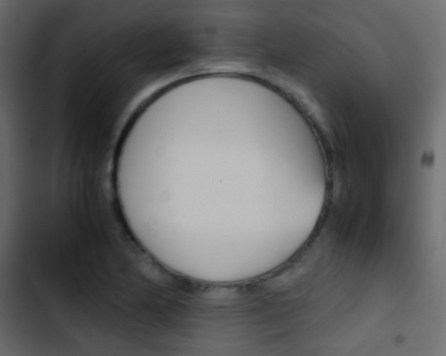 X0000103901174200809191048