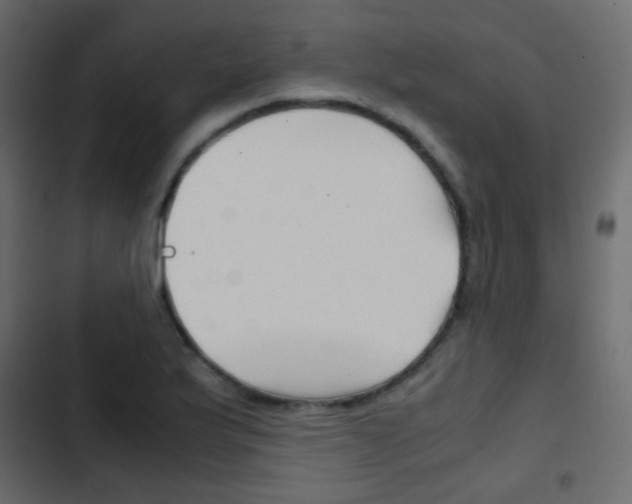 X0000103901175200809191048