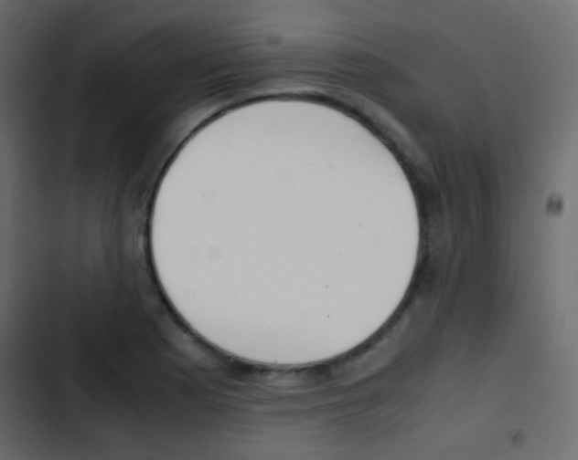 X0000103901177200809191048