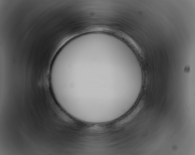 X0000103901178200809191048