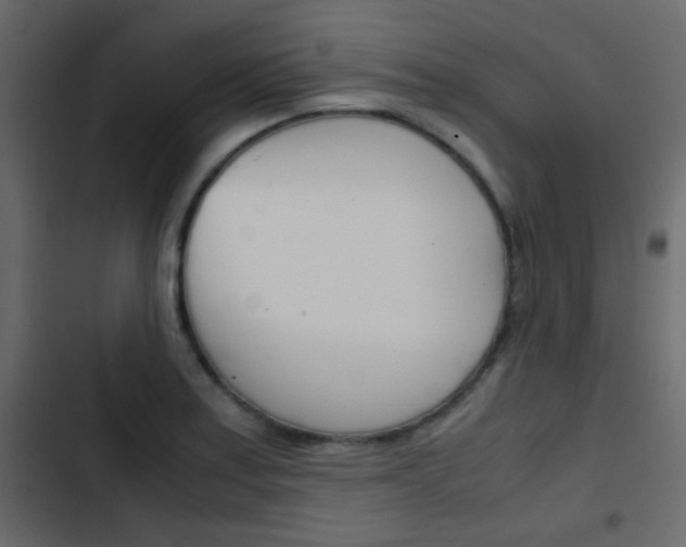 X0000103901179200809191048