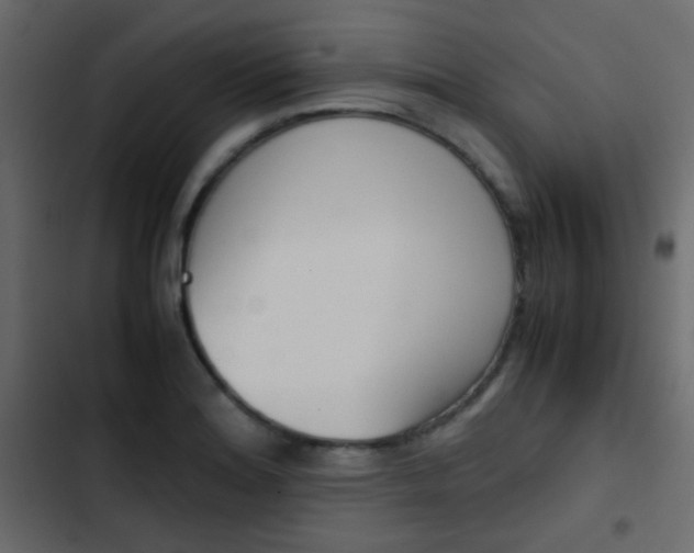 X0000103901180200809191048