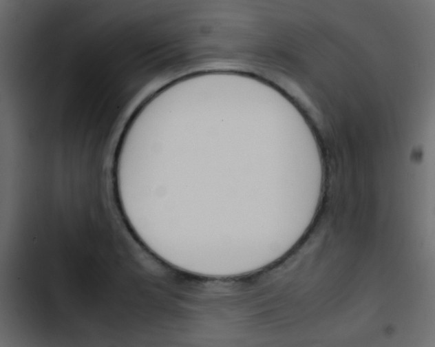 X0000103901181200809191048