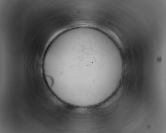 X0000103901182200809191048