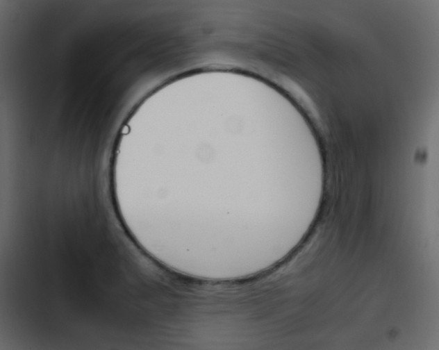 X0000103901183200809191048